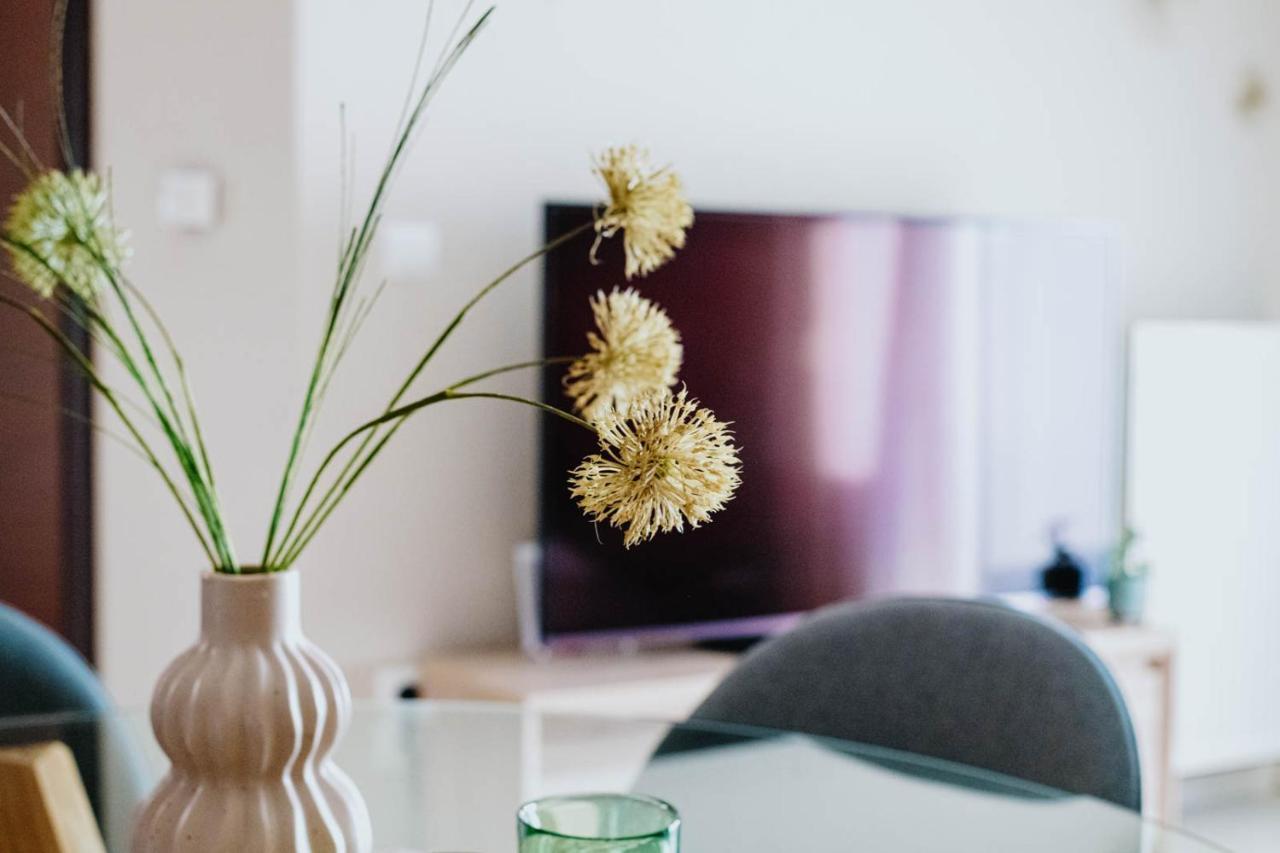 Sunny Days Apartment 알렉산드로폴리스 외부 사진